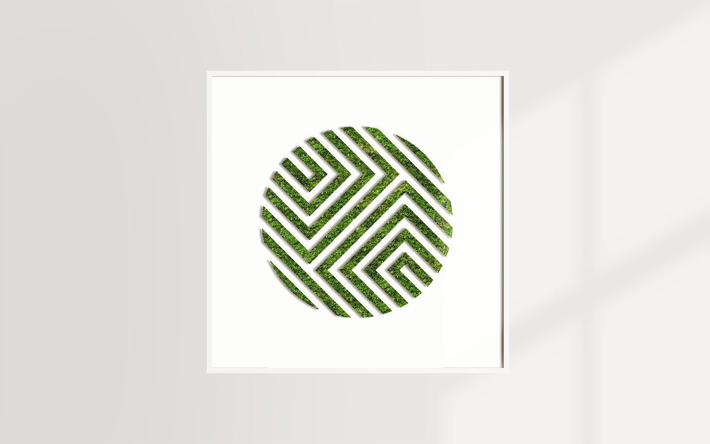 CIRCULO NU (Cuadro)