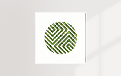 CIRCULO NU (Cuadro)