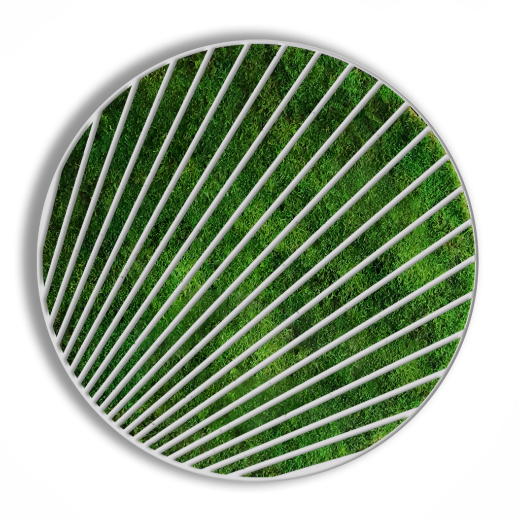 CIRCULO ALFA