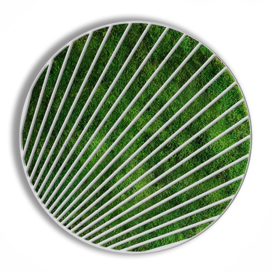 CIRCULO ALFA