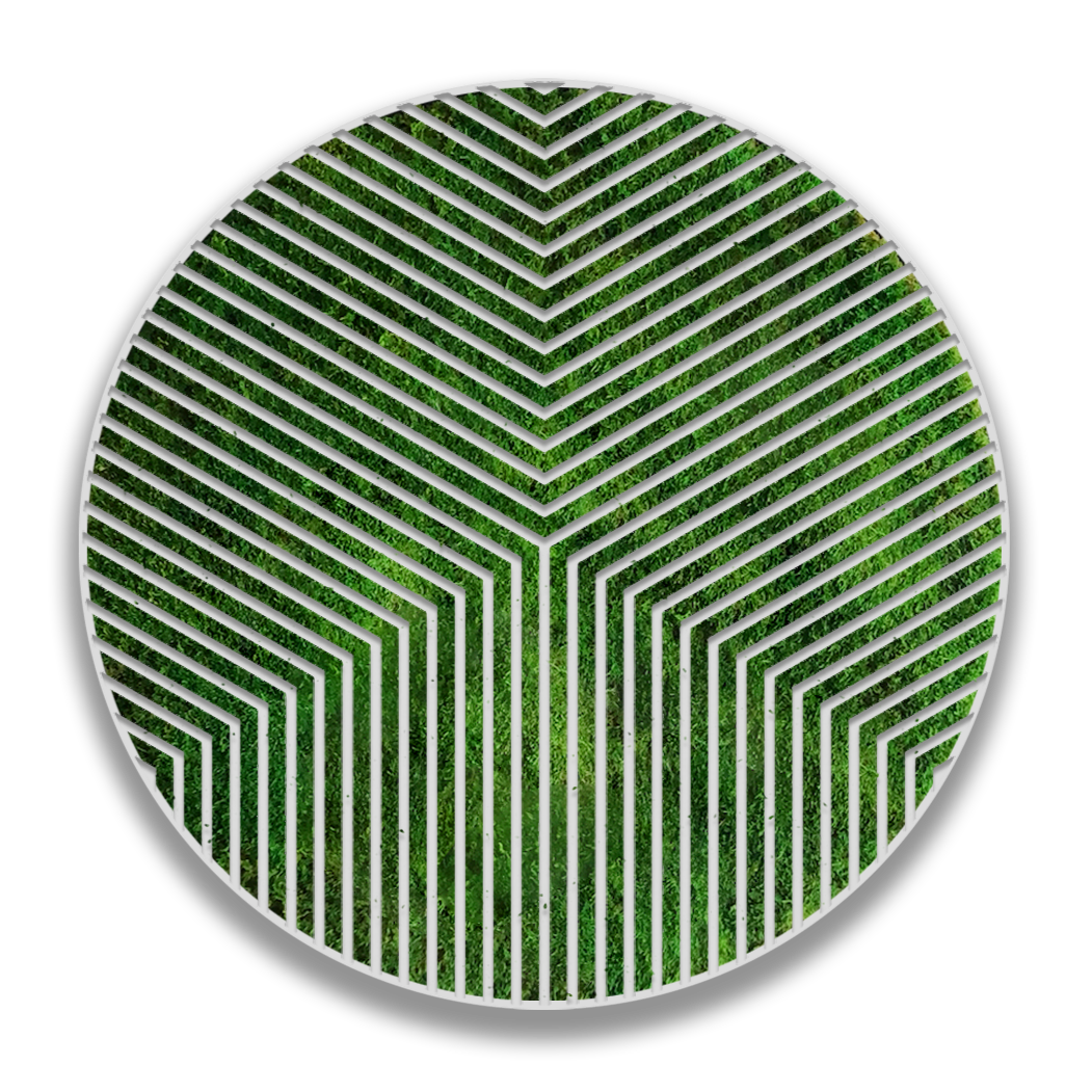 CIRCULO BETA