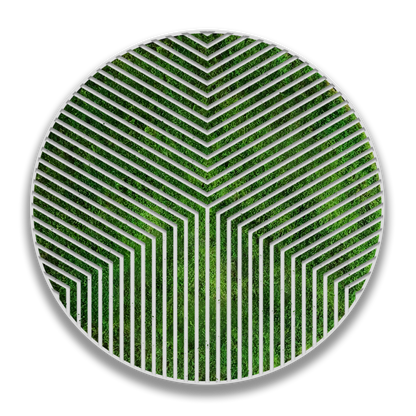 CIRCULO BETA