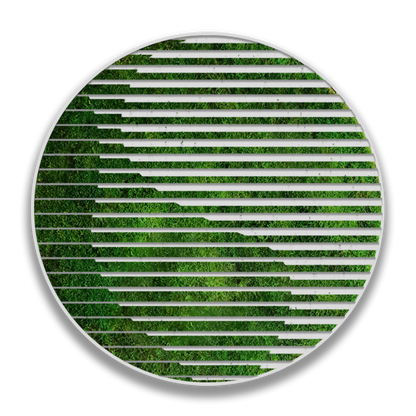 CIRCULO DELTA
