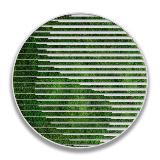 CIRCULO DELTA