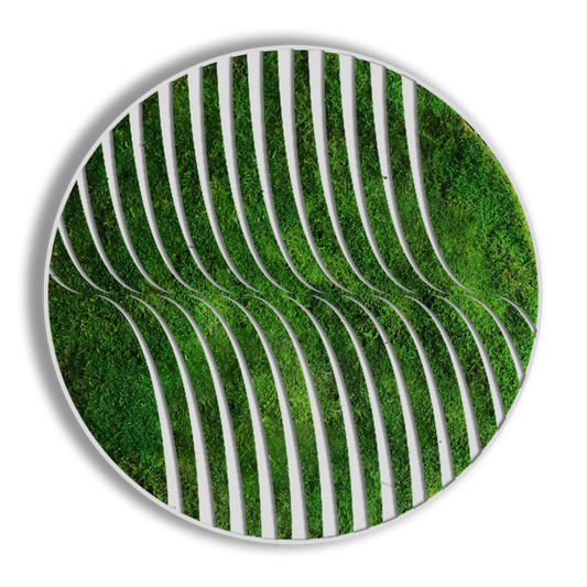 CIRCULO GAMMA