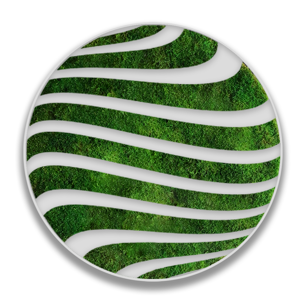 CIRCULO ZETA