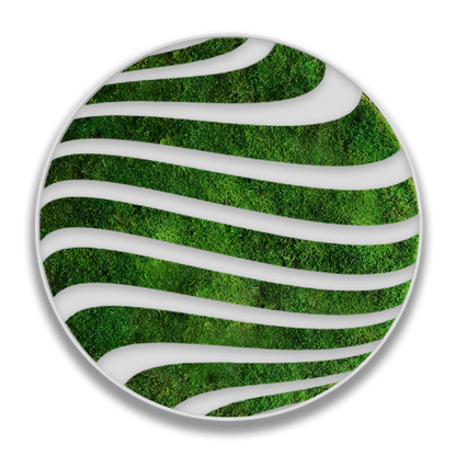 CIRCULO ZETA