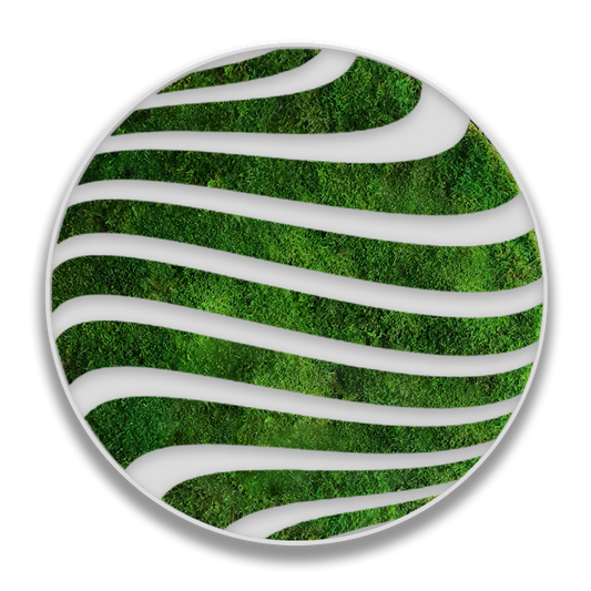 CIRCULO ZETA