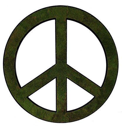 AMOR Y PAZ