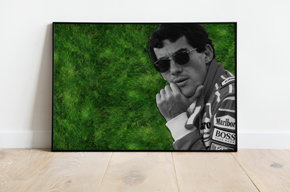AYRMOSS SENNA B Y N