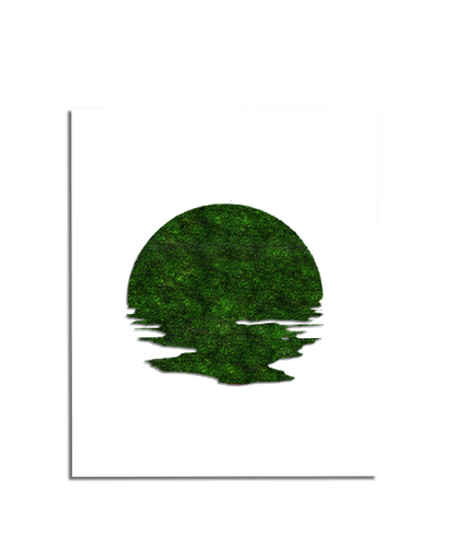 SUN MOSS