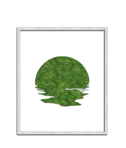 SUN MOSS
