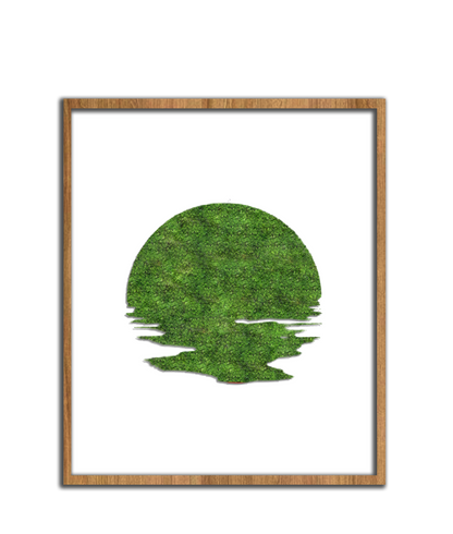 SUN MOSS