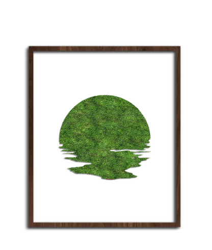 SUN MOSS