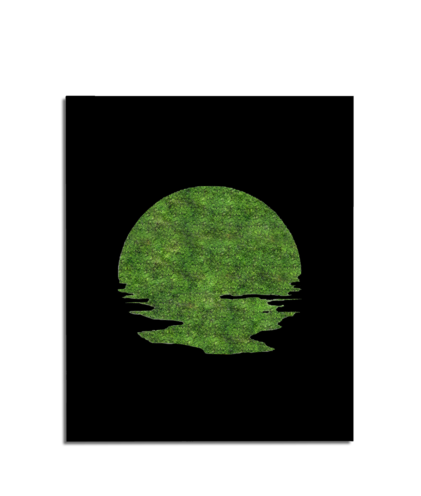 SUN MOSS