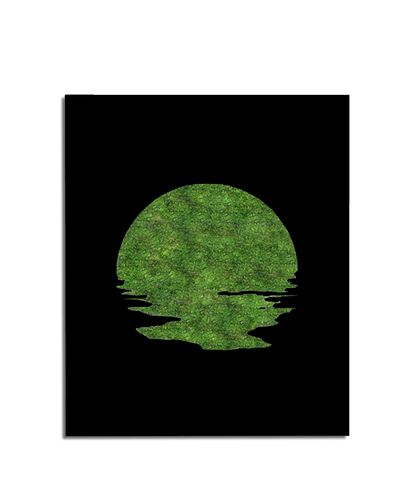 SUN MOSS
