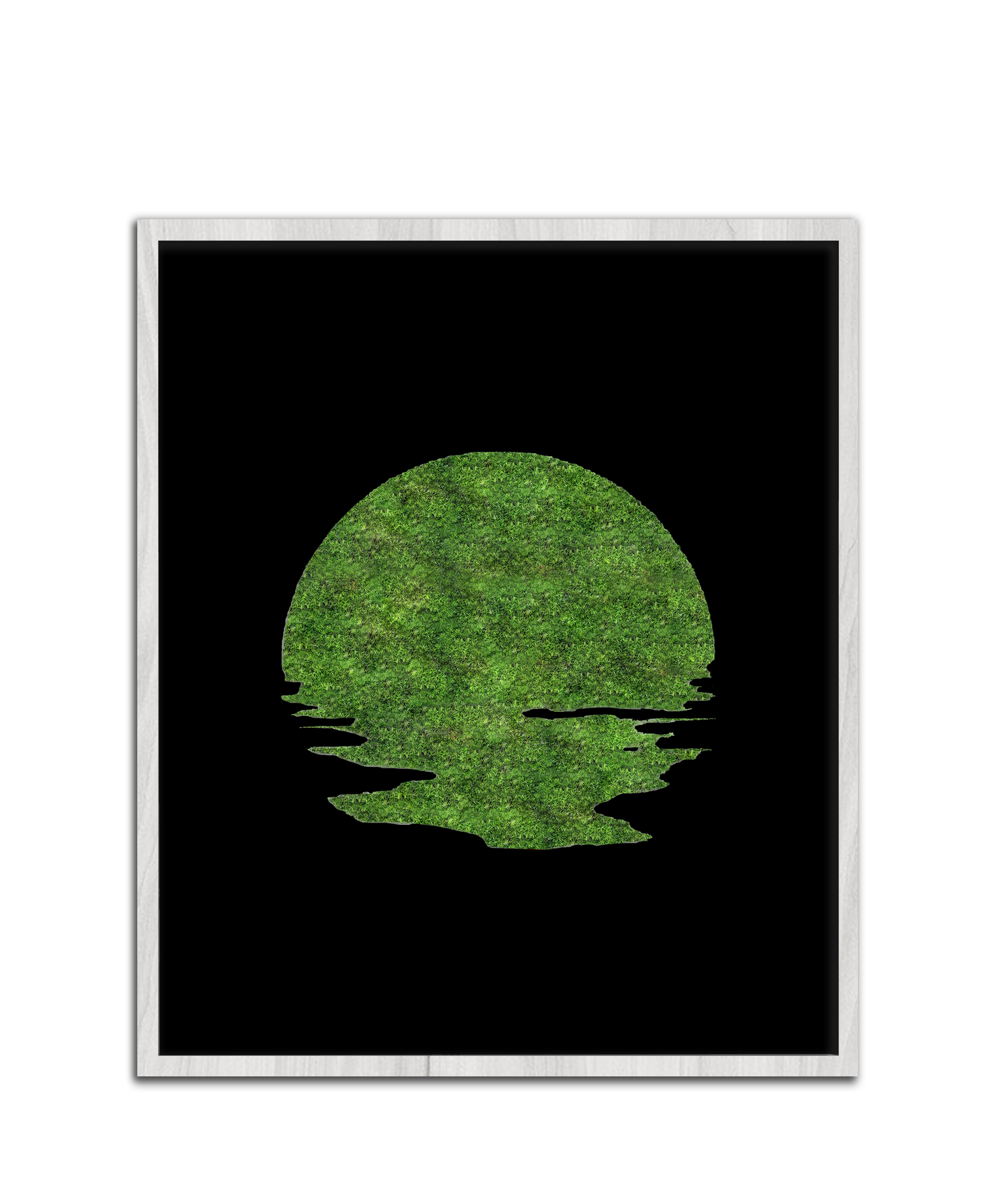 SUN MOSS