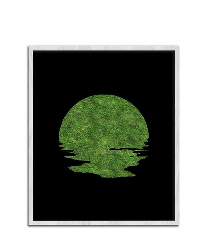 SUN MOSS
