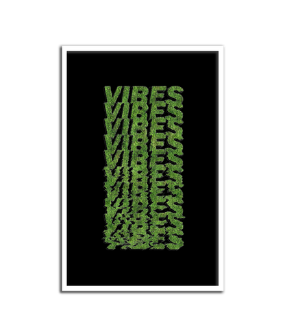 VIBES