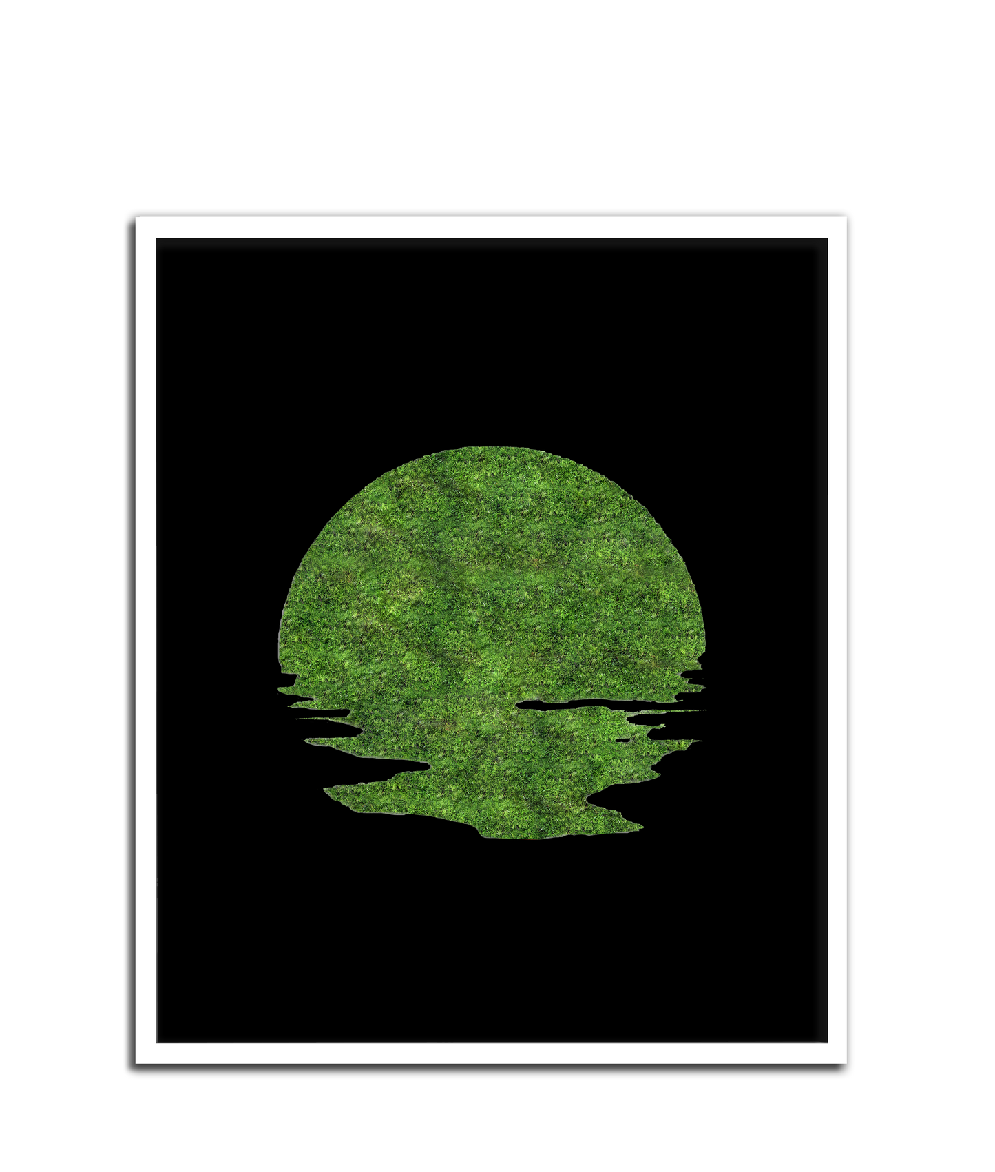 SUN MOSS