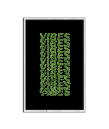 VIBES
