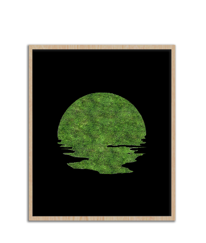 SUN MOSS