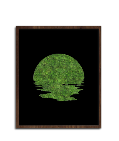 SUN MOSS
