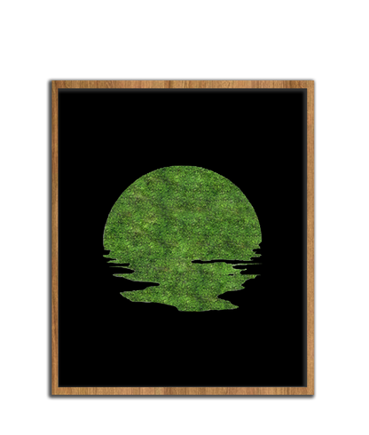 SUN MOSS