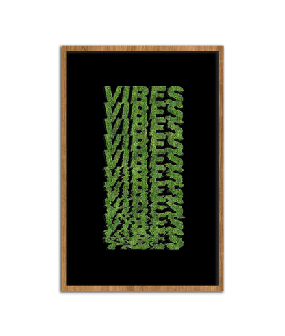 VIBES