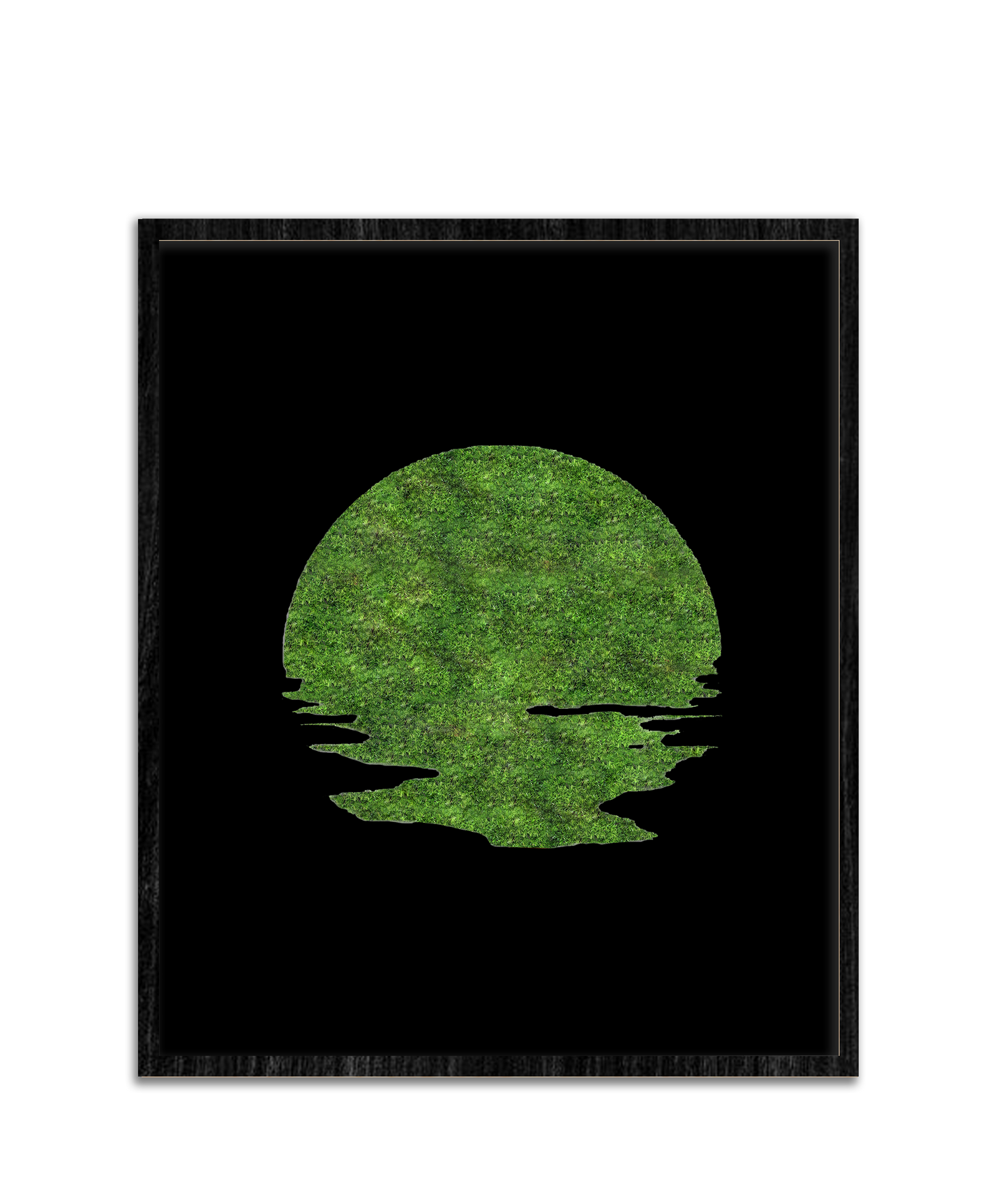 SUN MOSS