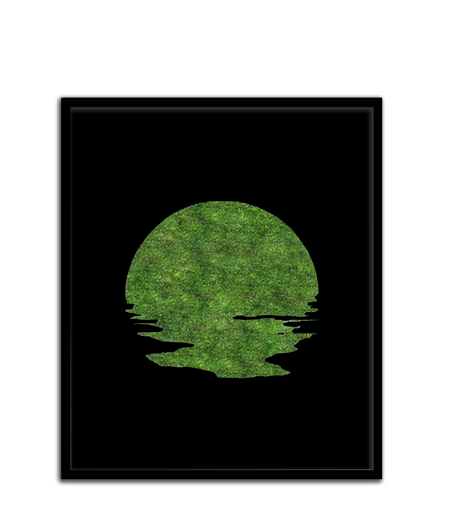 SUN MOSS