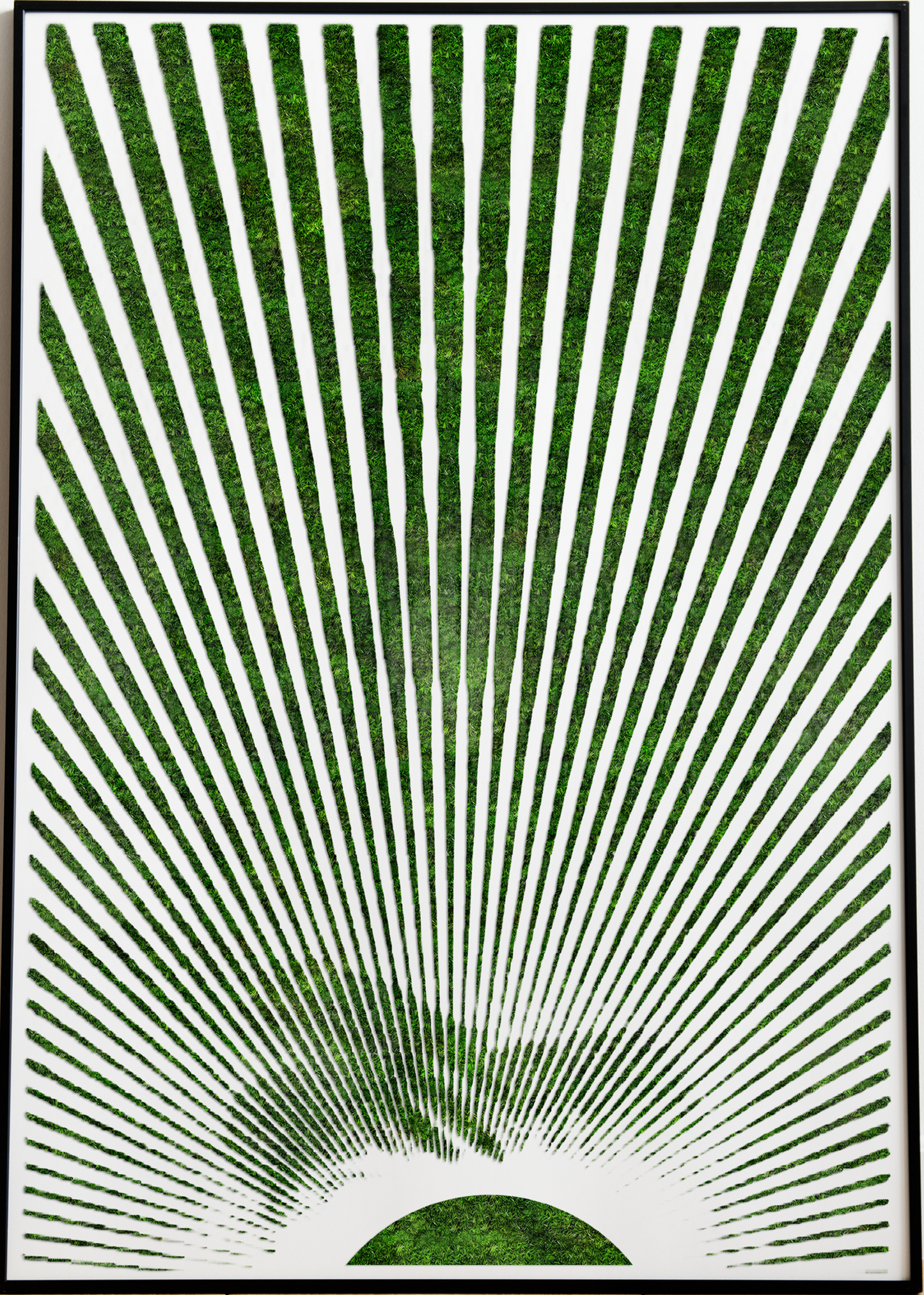 GREEN SUNRISE