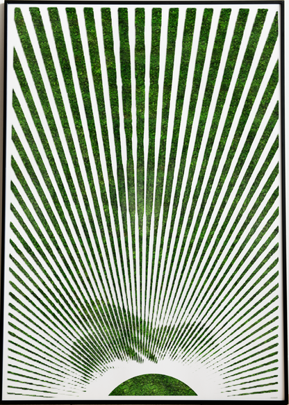 GREEN SUNRISE