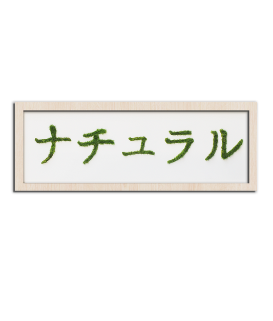 MIDORI NO HI