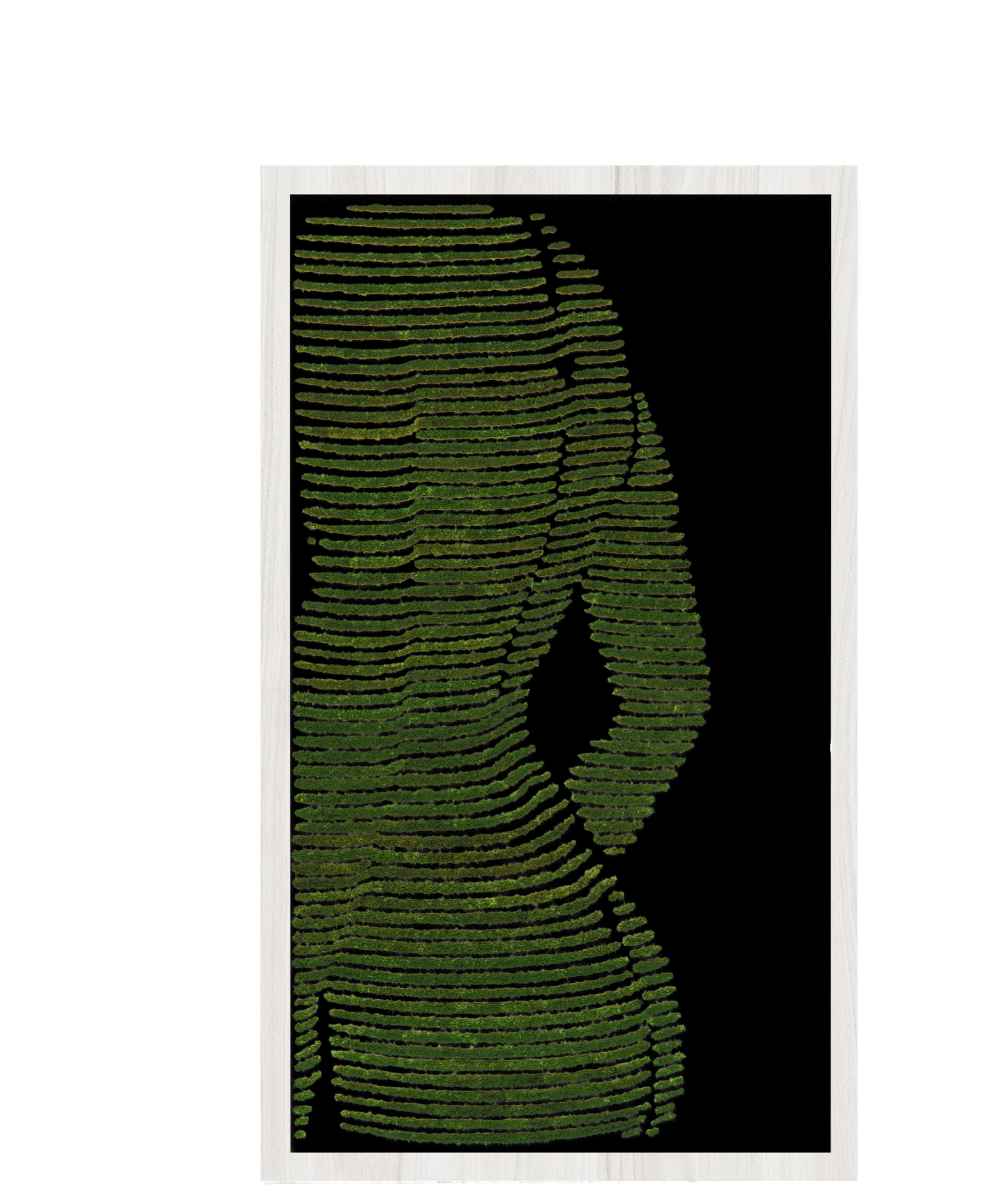 MUJER VERDE