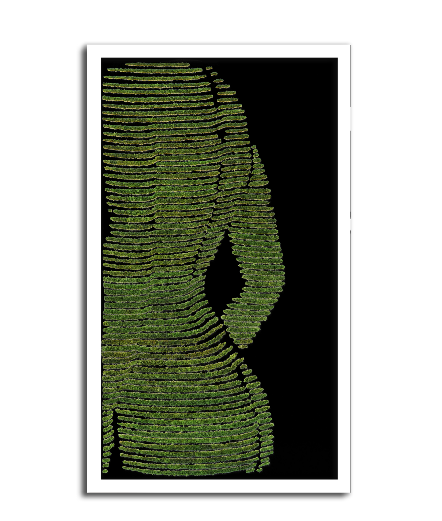 MUJER VERDE