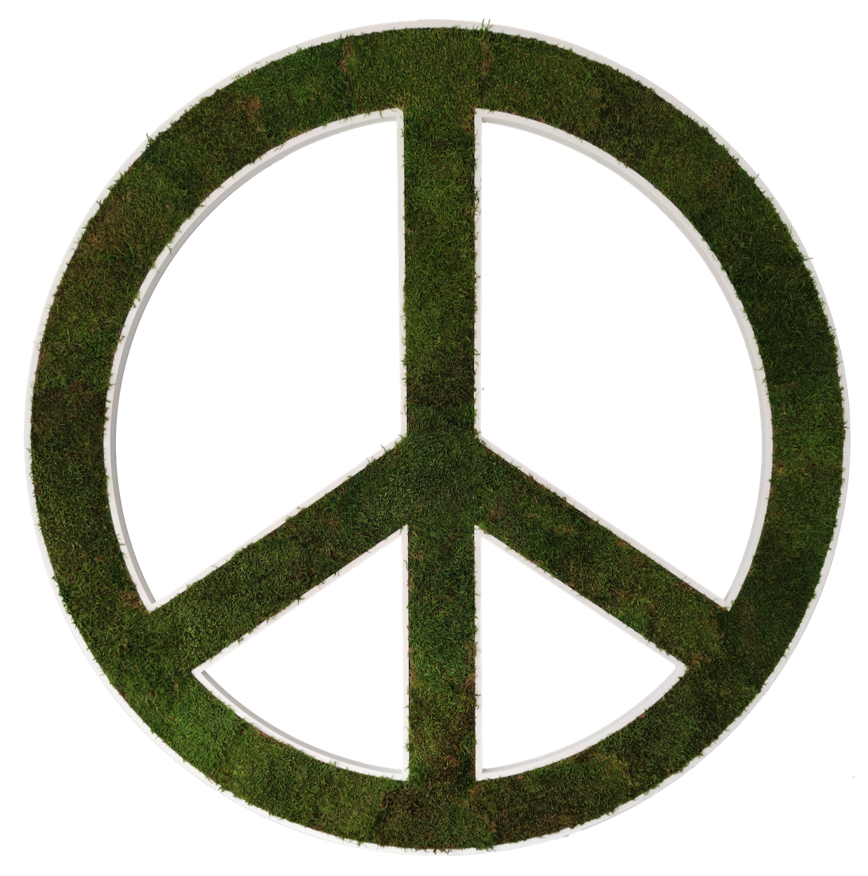 AMOR Y PAZ