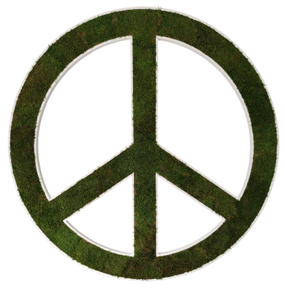 AMOR Y PAZ