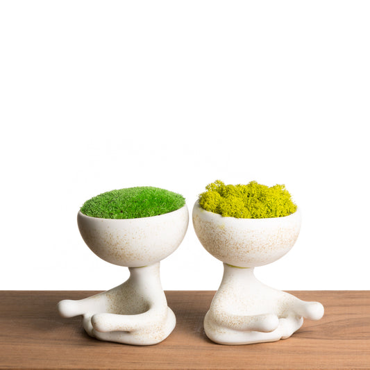 ROBERTIÑO MOSS