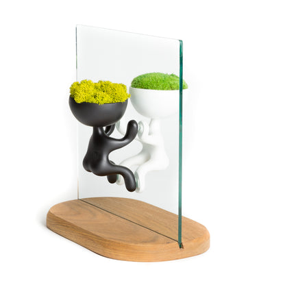ROGER MOSS (Base decorativa)
